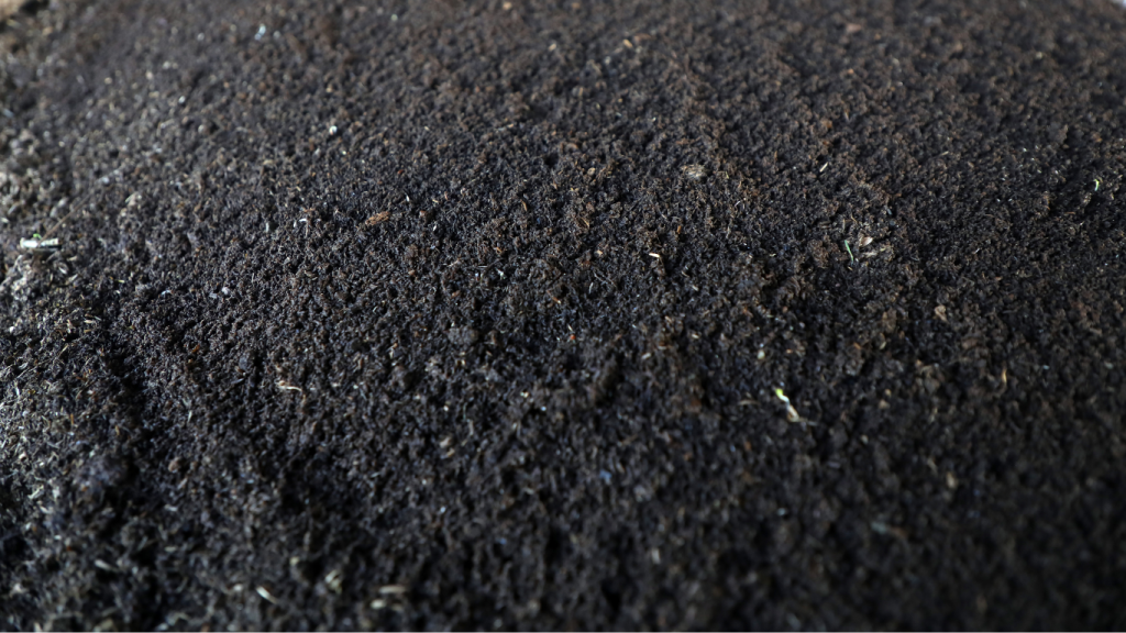 best fertilizer