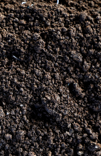 Manure